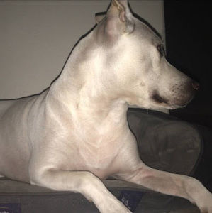 Meet your Posher, Alejandro